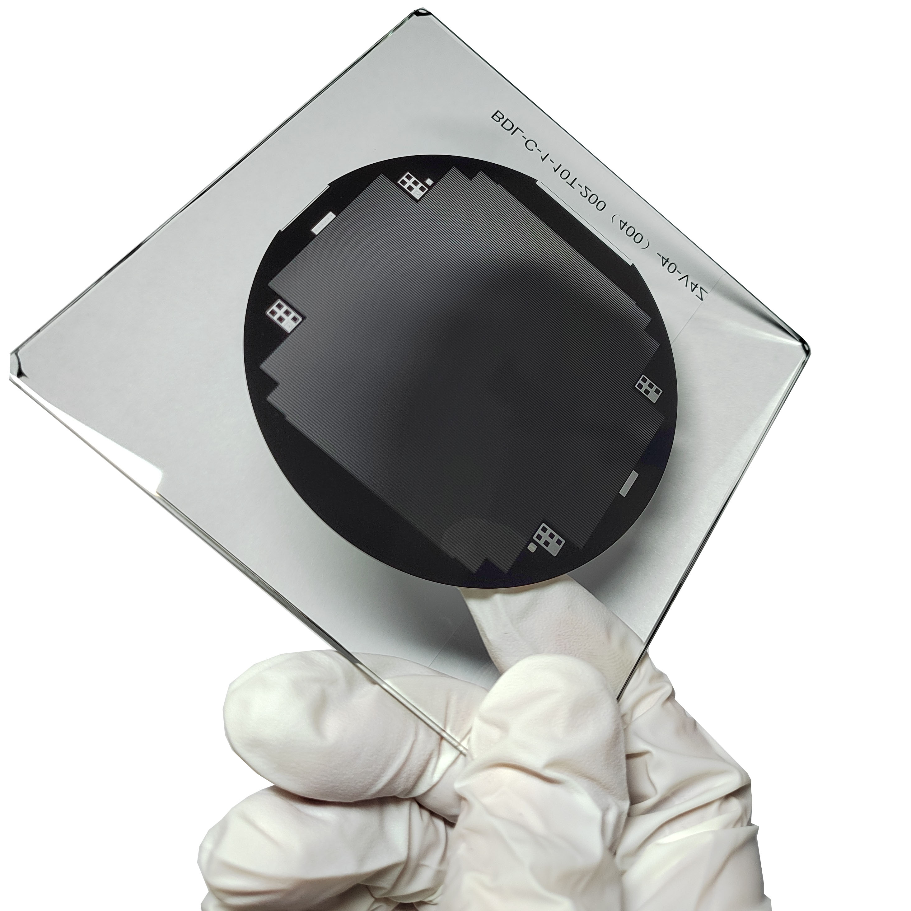 De åtgärder som vidtagits av den optiska industrin som svar på tulljusteringen av USA